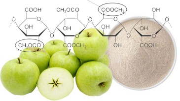 NHỮNG TÁC DỤNG CỦA PECTIN ĐỐI VỚI SỨC KHỎE