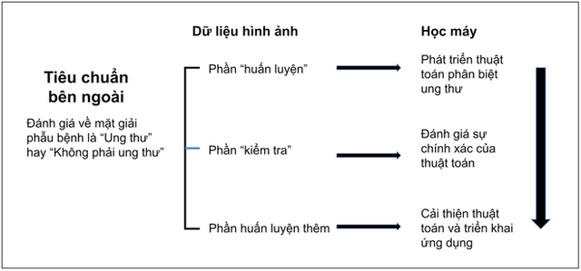 Hình 3. Sự phụ thuộc của học máy vào tiêu chuẩn bên ngoài để 